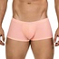 Clever apolo latin boxers