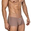 Clever apolo latin boxers