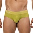 Clever atenea classic brief