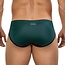 Clever selene brief