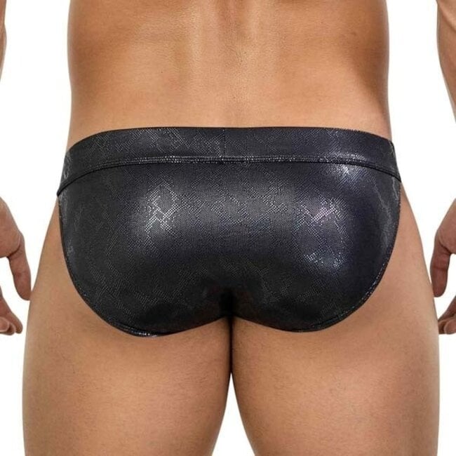 Clever atlas brief