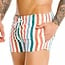 Jor Fiji swimshort