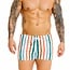 Jor Fiji swimshort