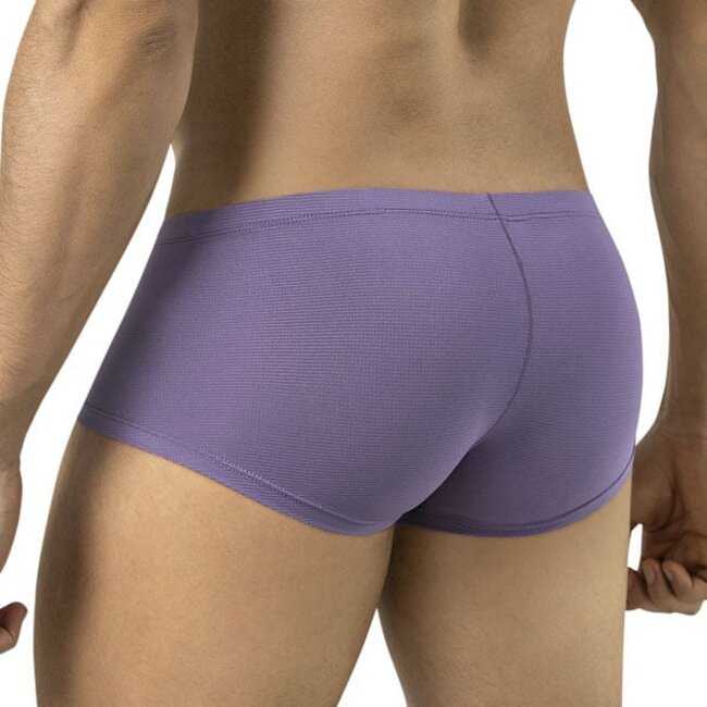 Clever cronos latin boxers