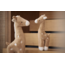 knuffel giraffe biscuit