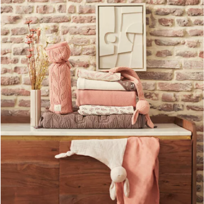 Pacifier cloth bunny ears nougat