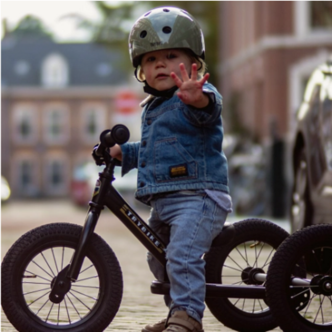 Trybike Driewieler