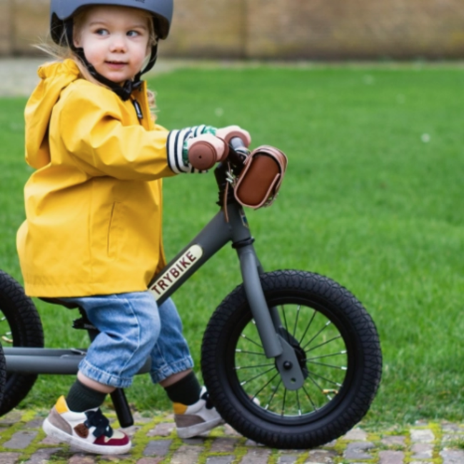 Trybike Tweewieler