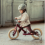 Trybike Tweewieler