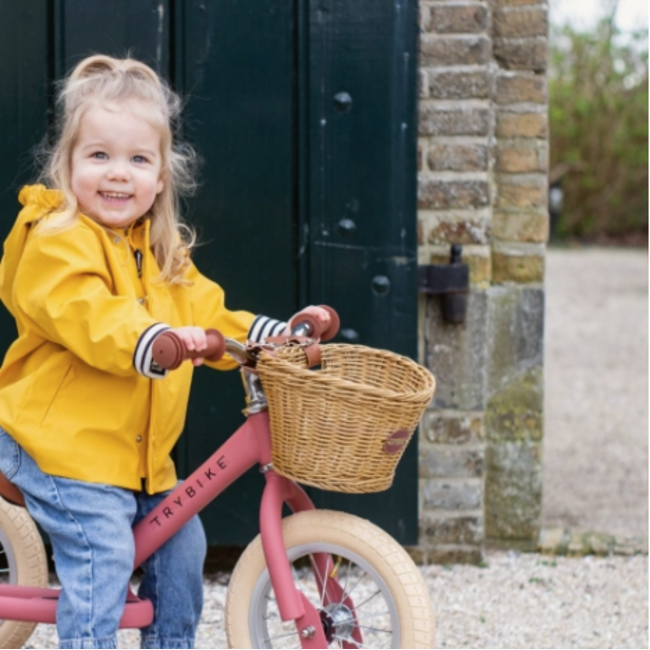 Trybike Tweewieler