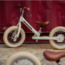 Trybike Tweewieler