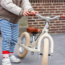 Trybike Tweewieler