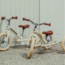 Trybike Driewieler