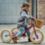 Trybike Driewieler