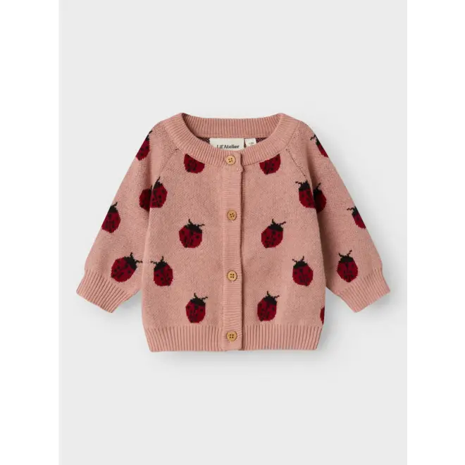 vestje met lieveheersbeestjes