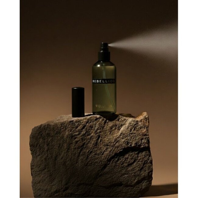 Wellmark Roomspray tender affection 100 ml