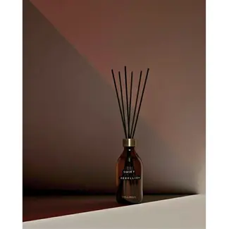 Wellmark Reed diffuser, quiet rebellion