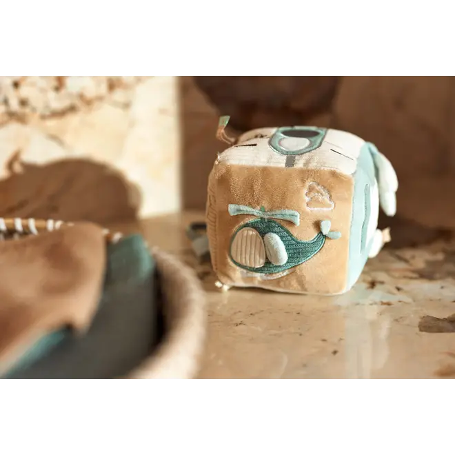 activity cube on the go