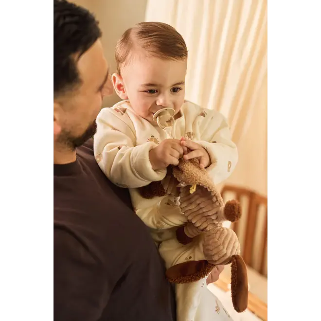 pacifier cloth diego dog