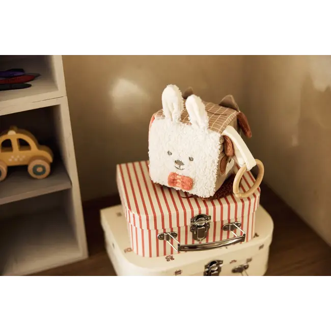 activity cube animal friends