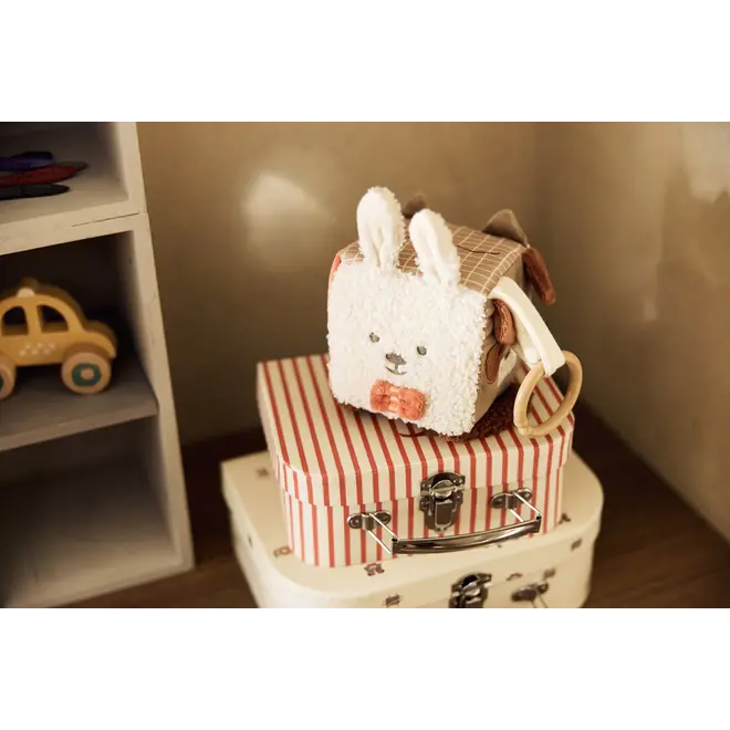 activity cube animal friends