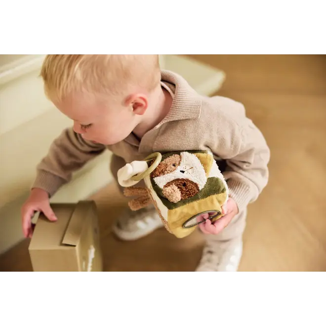 activity cube tiny park