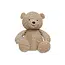 Stuffed animal teddy bear biscuit