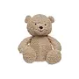 Stuffed animal teddy bear biscuit