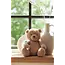 Stuffed animal teddy bear biscuit