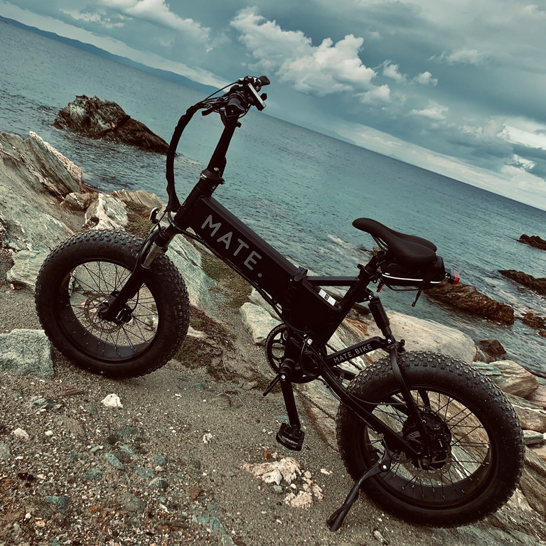 mate x 750w electric bike