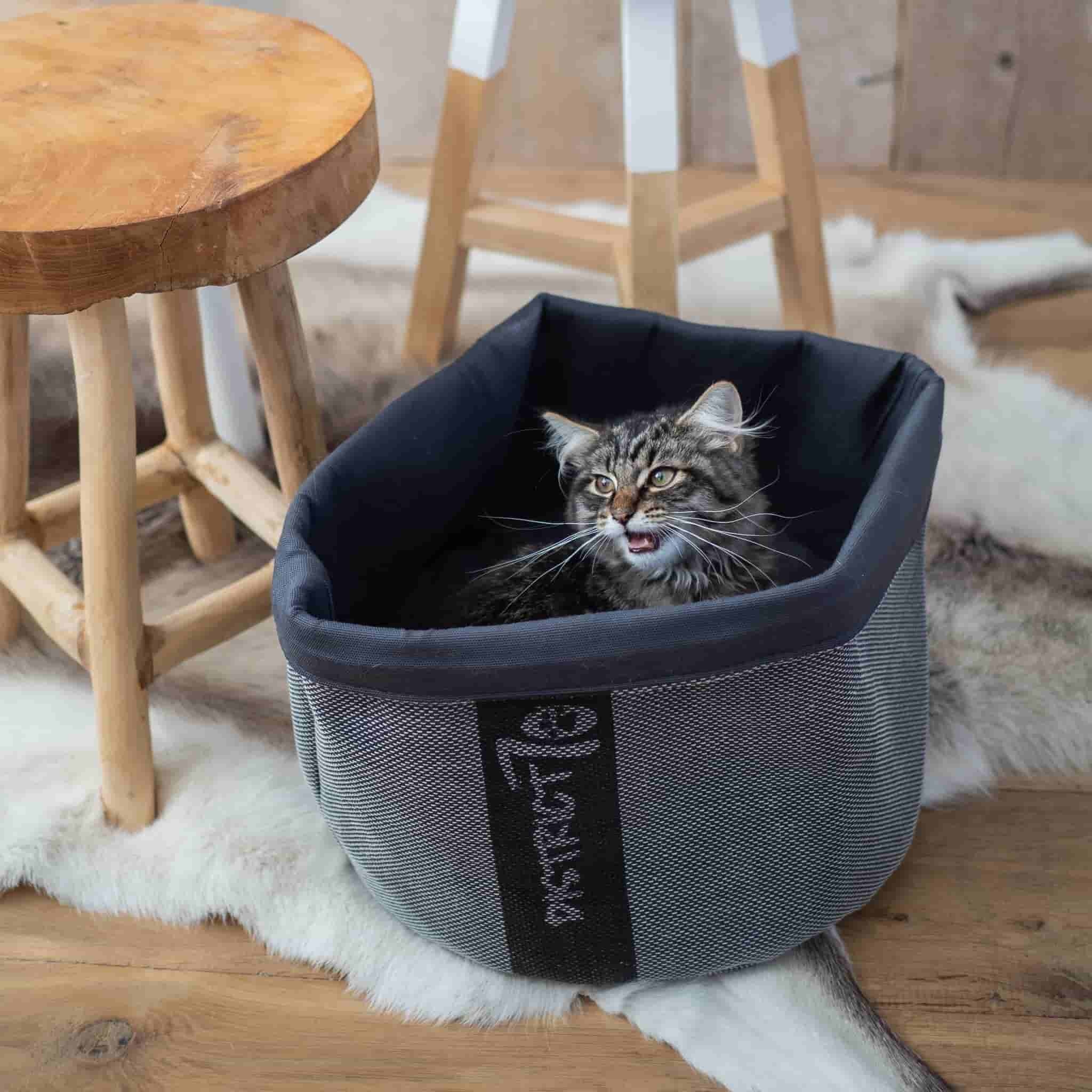 cozy cat bed