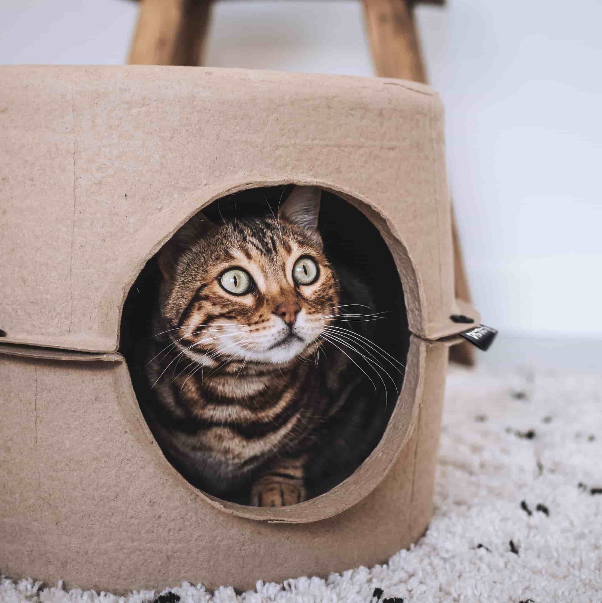 BUNKER – Cardboard Cat House – Sustainable Cat House – With Scratching Surface & Catnip Ball - 44 x 44 x 30 cm-4