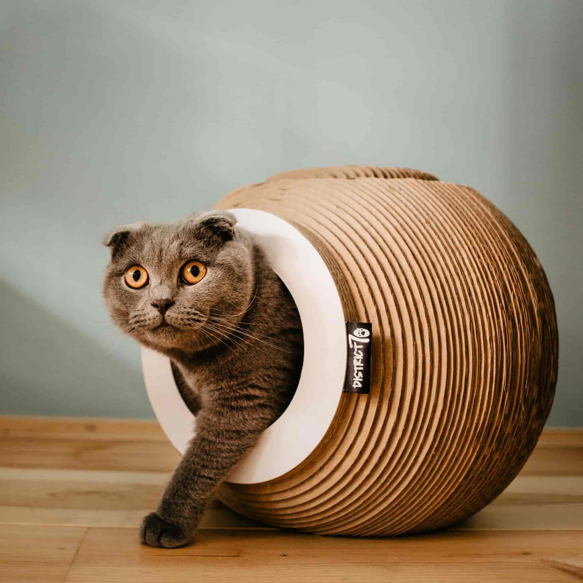 ORB - Unique Scratching Furniture for Smaller Cats - 37 x 32 x 32 cm-2