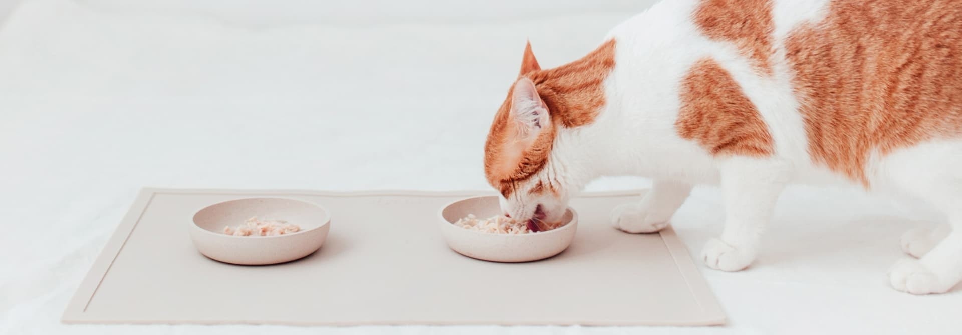 Bowls