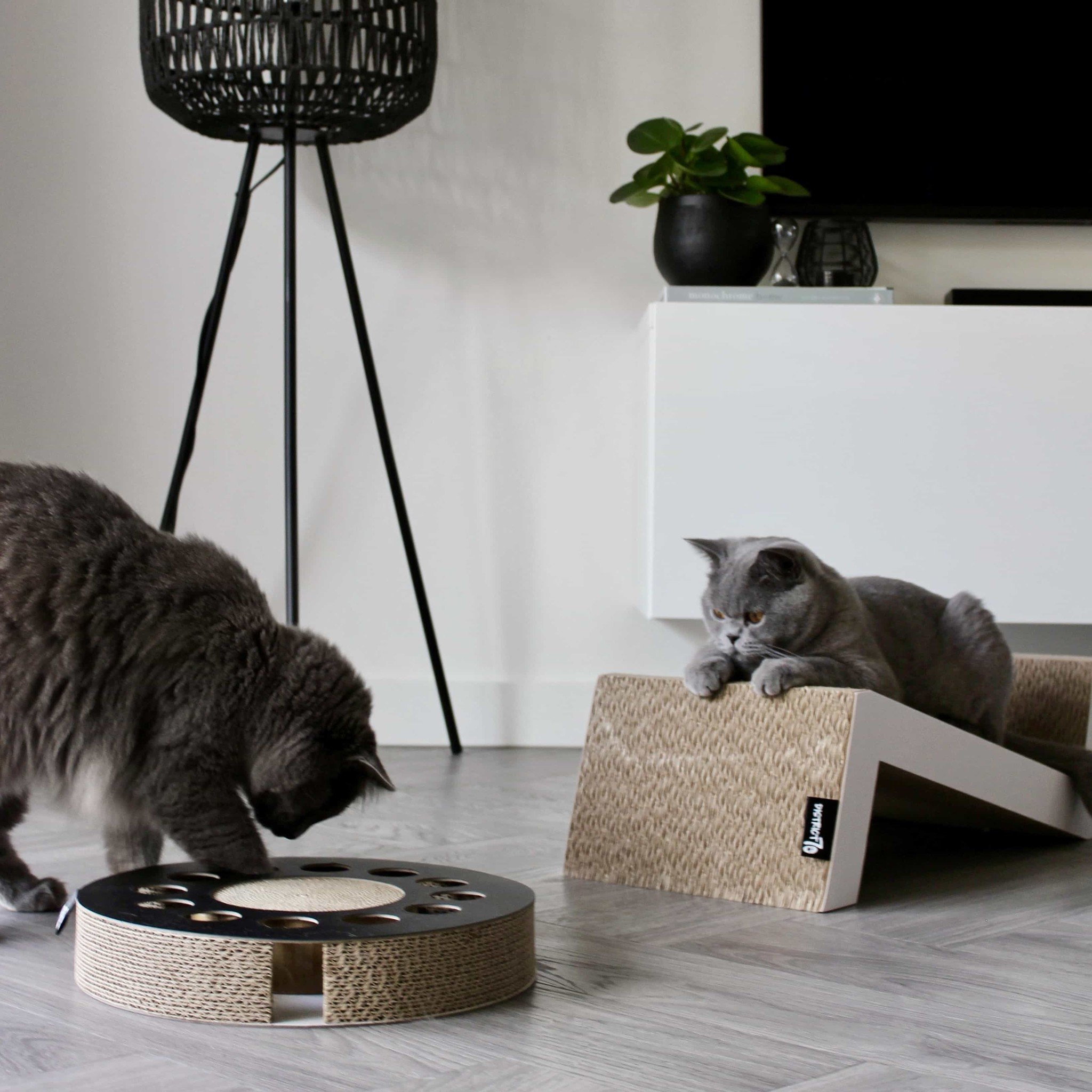 WHIRL - Multifunctional Cat Toy - Scratch and Play - 33 x 33 x 6 cm-4