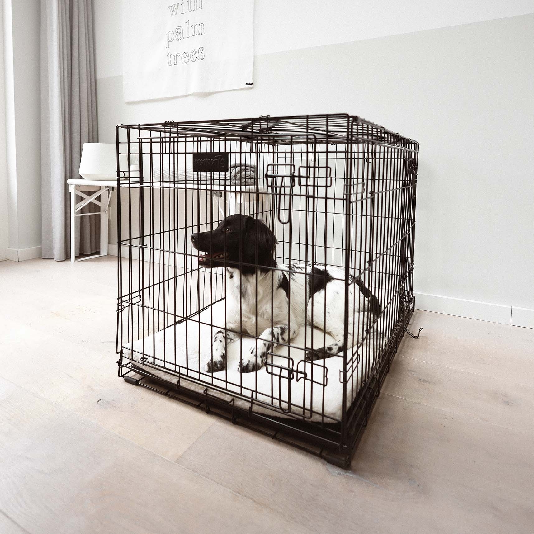 CRATE - Dog Crate 2-doors - Black - Available in 5 sizes-2