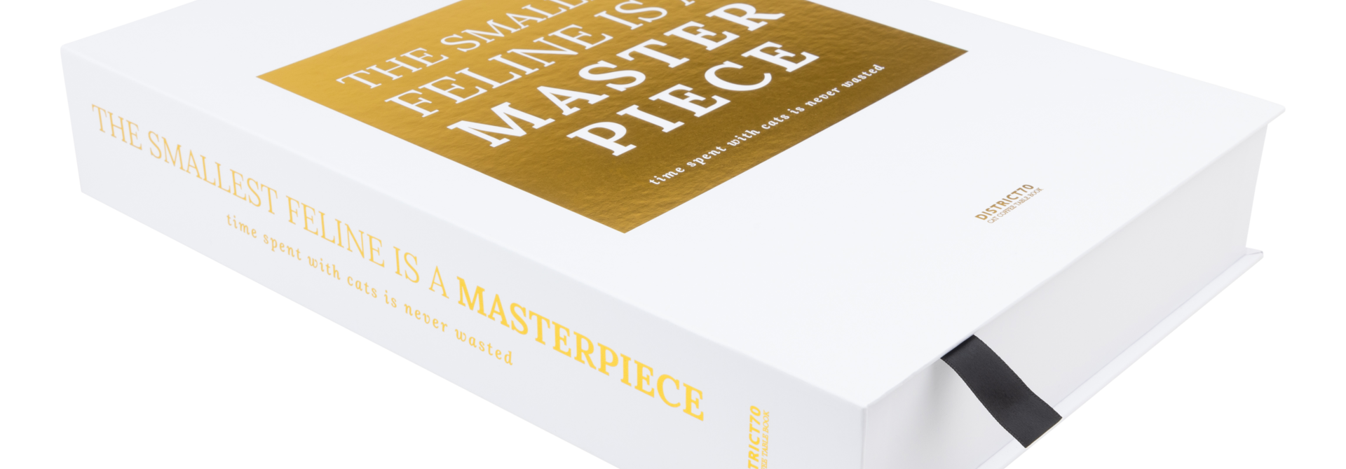 CATERIOR, MASTERPIECE, DIARY - Decorative coffee table book designed scratch toy - 36 x 25 x 6 cm