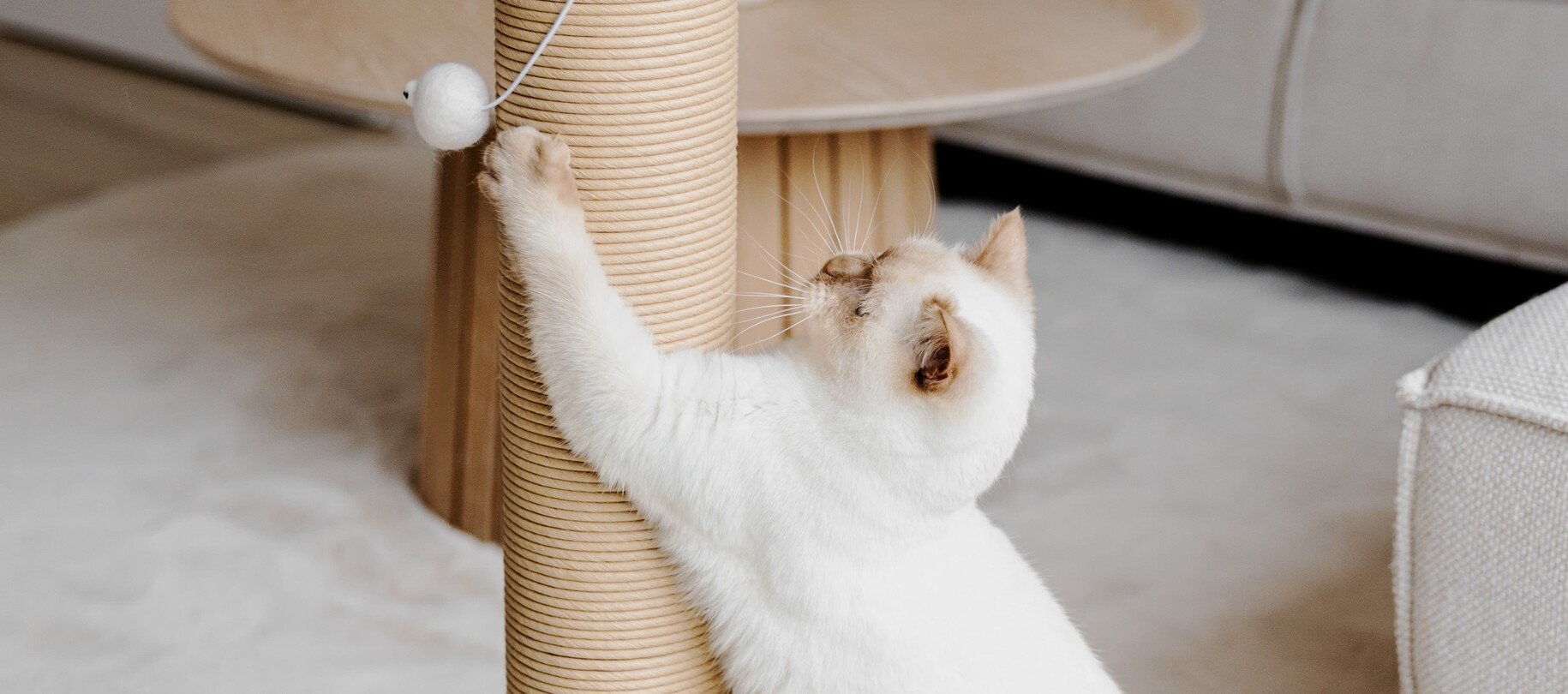 Scratching Posts