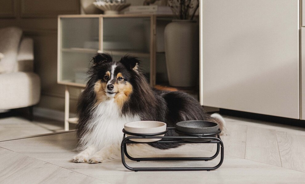 Het verhaal van onze BAMBOO collectie