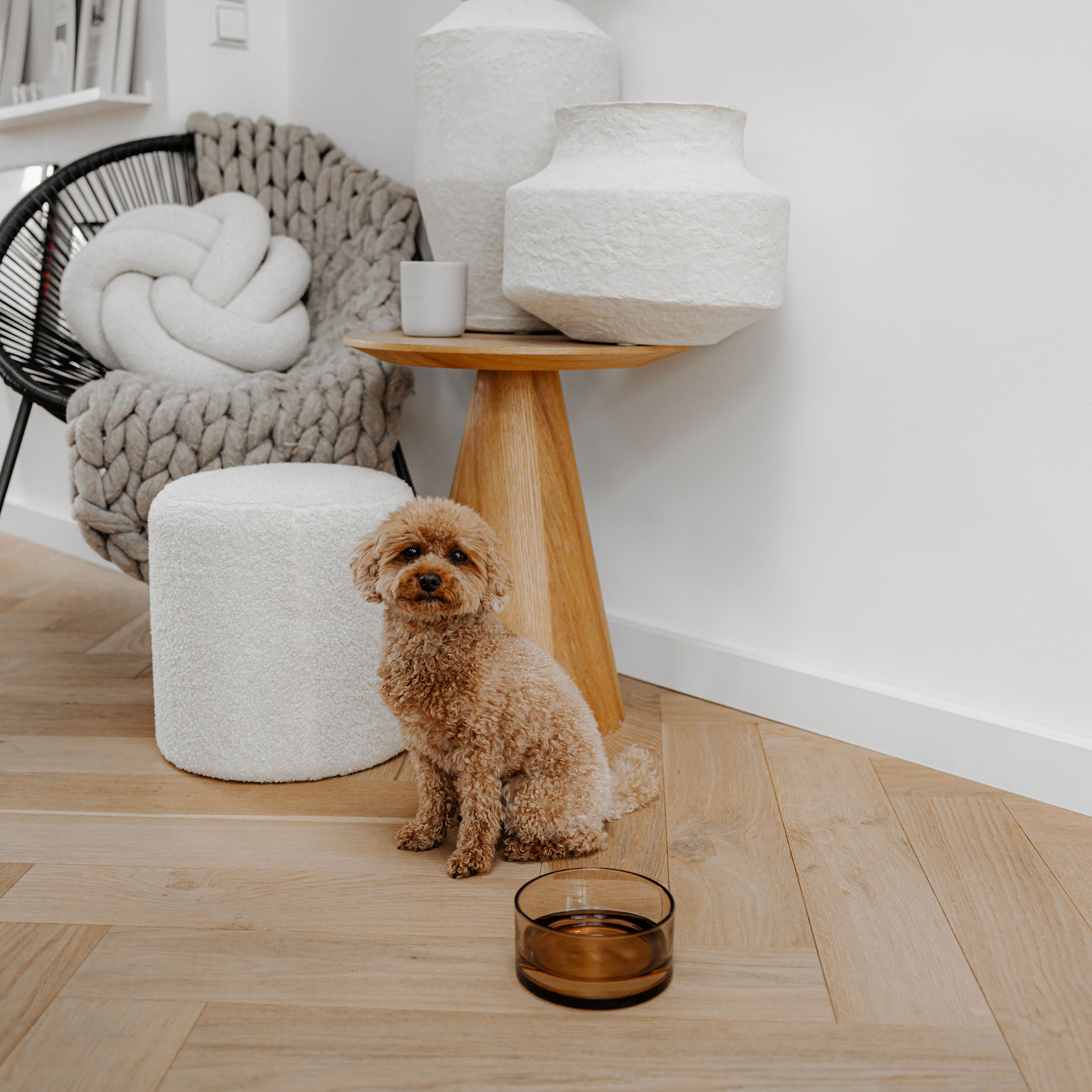 DAWN - Glass Bowl - Available in 3 sizes - Black and Champagne-3