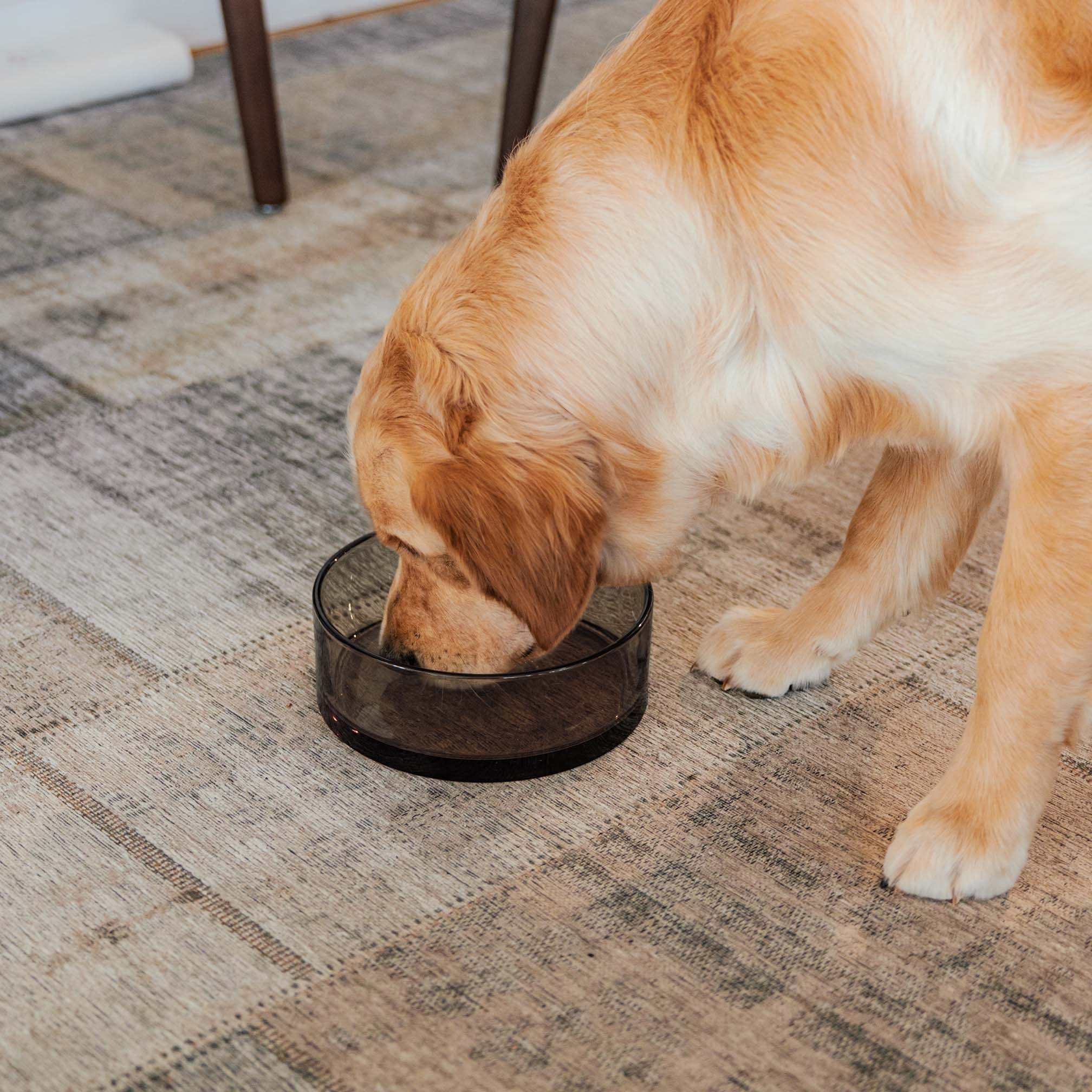 DAWN - Glass Bowl - Available in 3 sizes - Black and Champagne-4