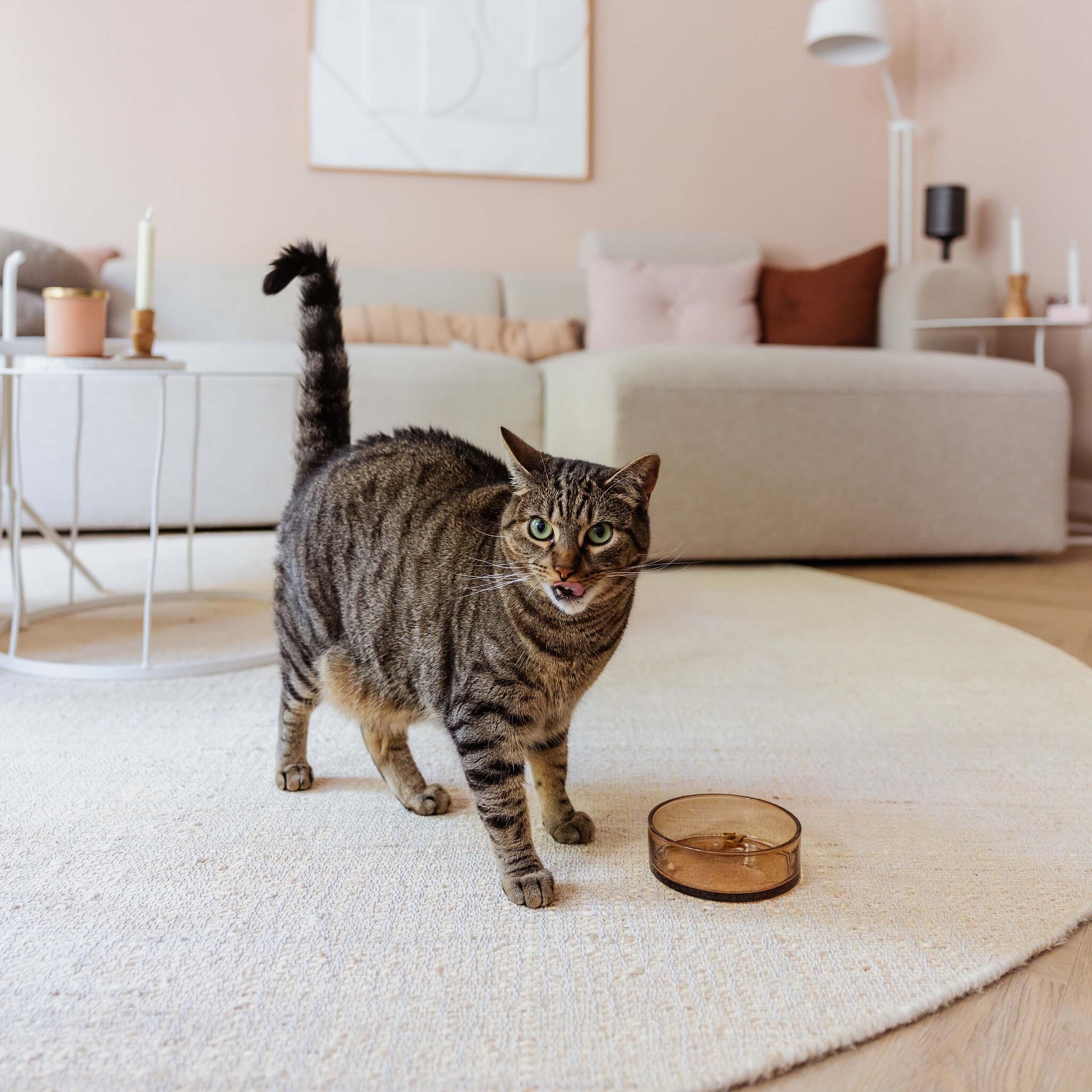 DAWN - Glazen voerbak - One Size - Zwart en Champagne-4