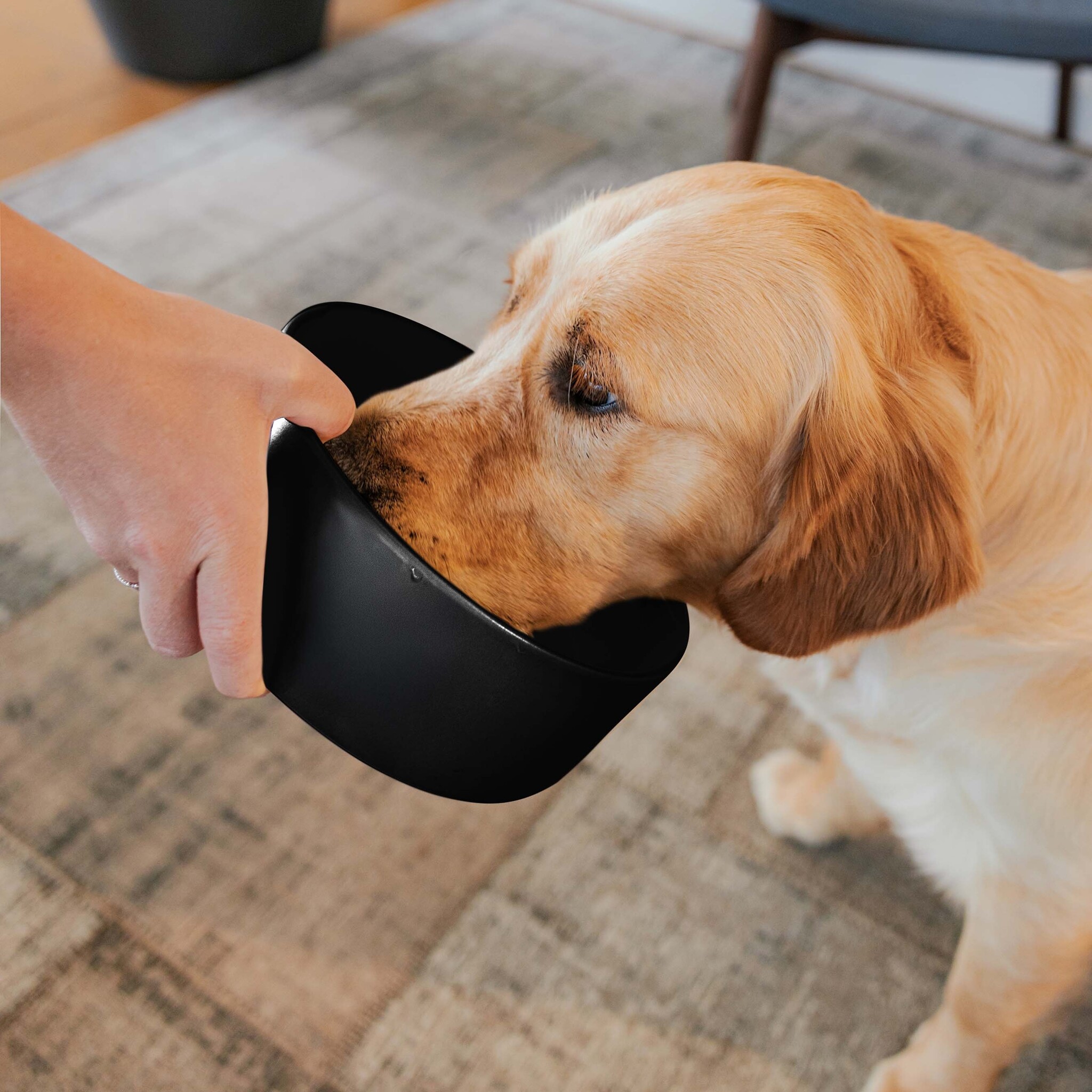 DUSK - Ceramic bowl - Available in 3 sizes - Black and Champagne-3