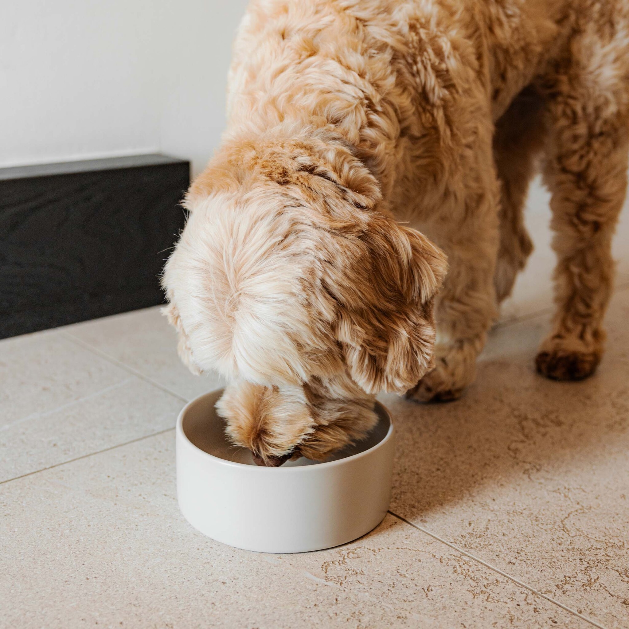 DUSK - Ceramic bowl - Available in 3 sizes - Black and Champagne-2