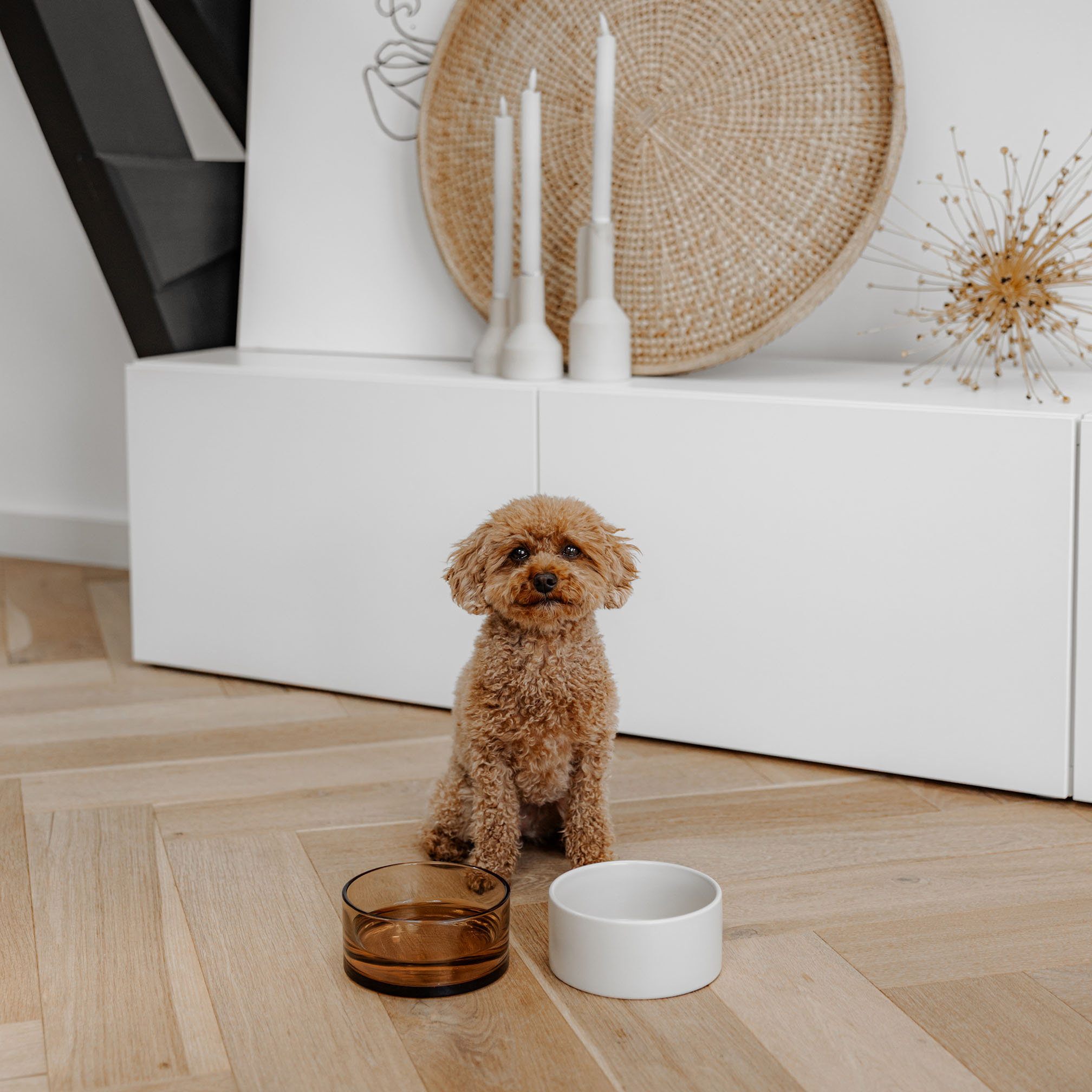 DUSK - Ceramic bowl - Available in 3 sizes - Black and Champagne-4