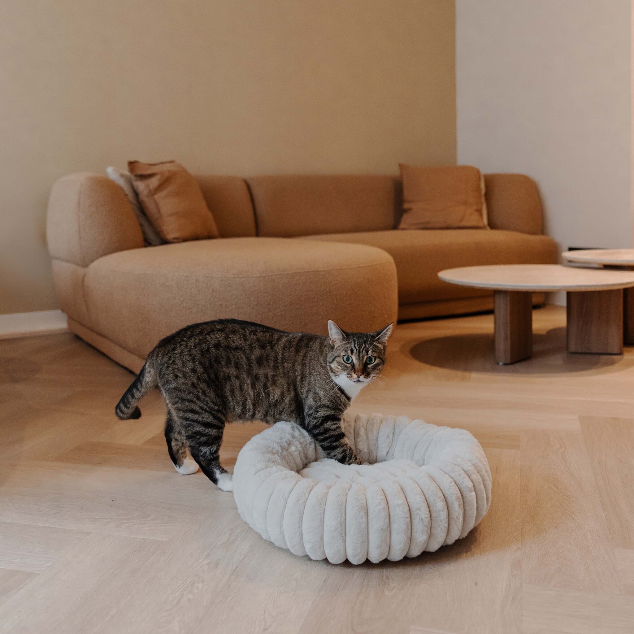 RIBBA - Zachte ribbel kattenmand - Verkrijgbaar in kleuren Bruin, Greige en Grijs-2