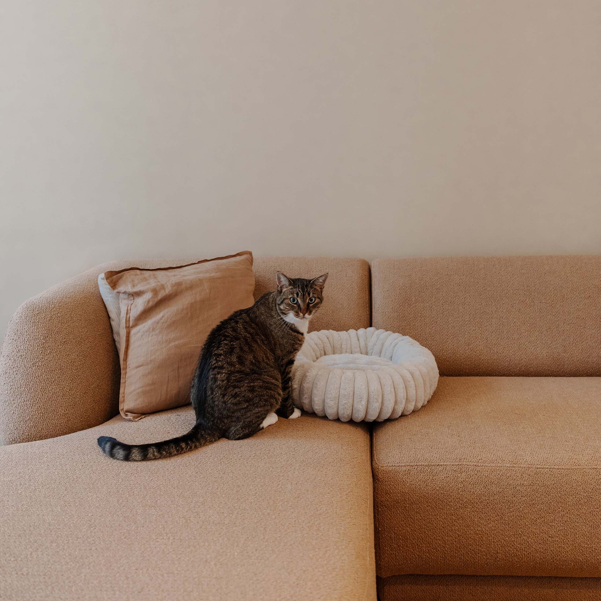 RIBBA - Zachte ribbel kattenmand - Verkrijgbaar in kleuren Bruin, Greige en Grijs-3