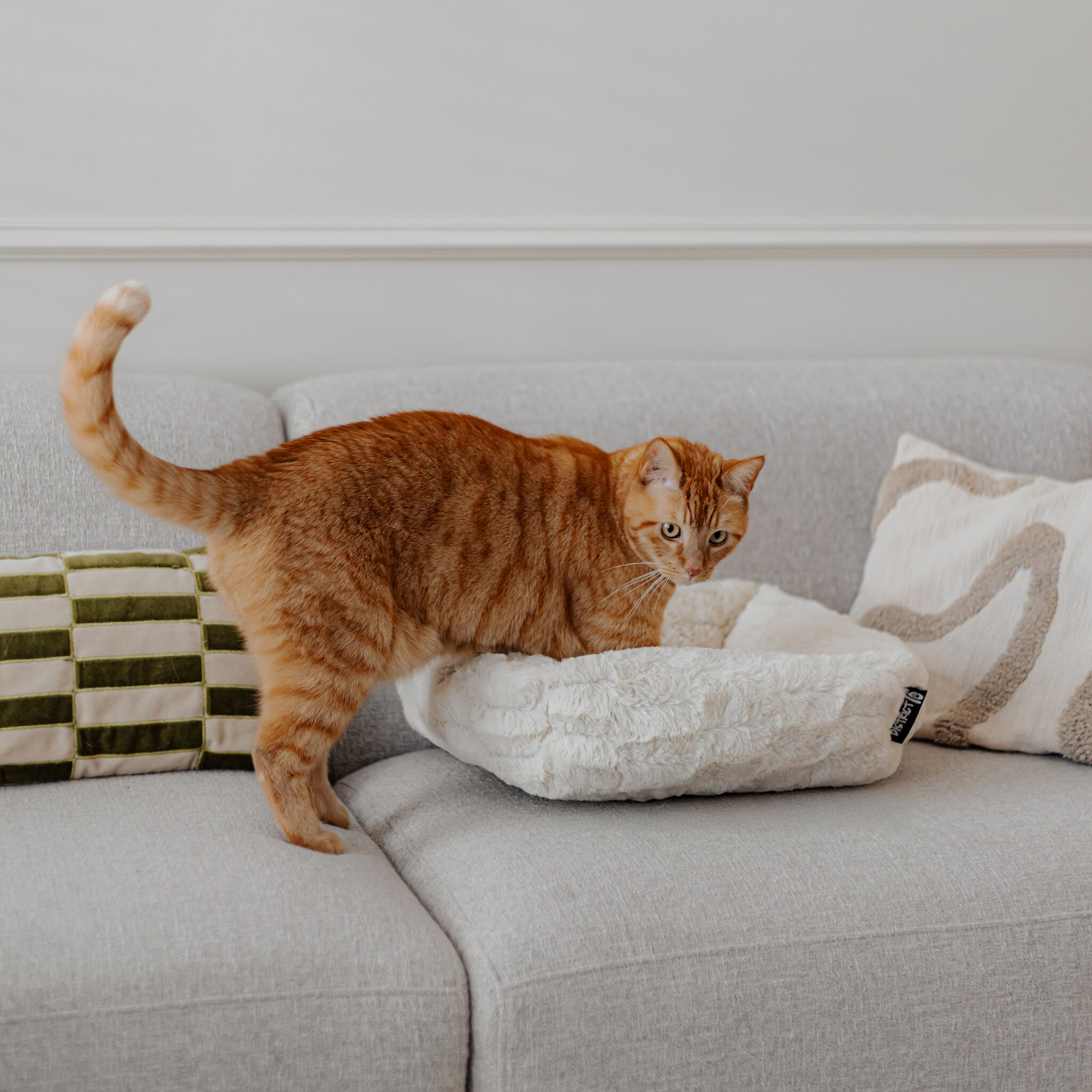 MOSA - Zachte kattenmand met uniek patroon - Verkrijgbaar in Taupe, Pink en Merengue-2