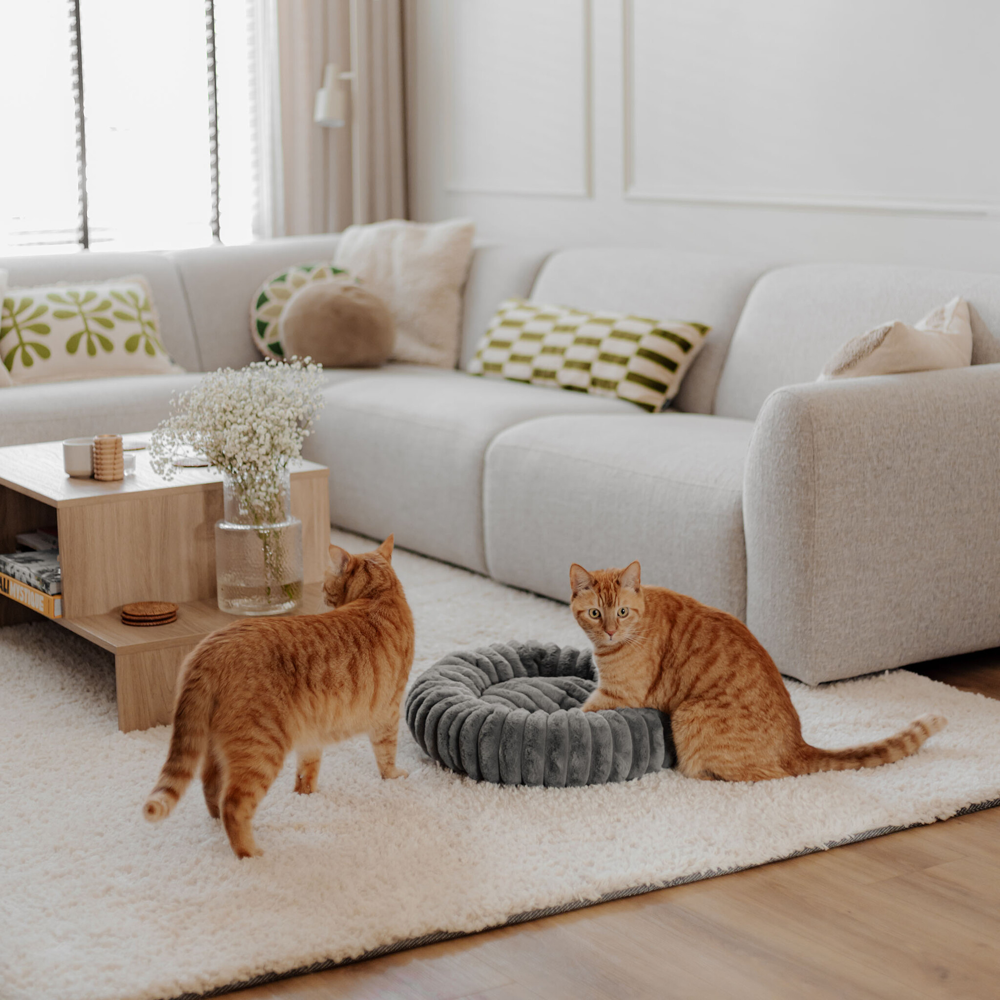 RIBBA - Zachte ribbel kattenmand - Verkrijgbaar in kleuren Bruin, Greige en Grijs-4