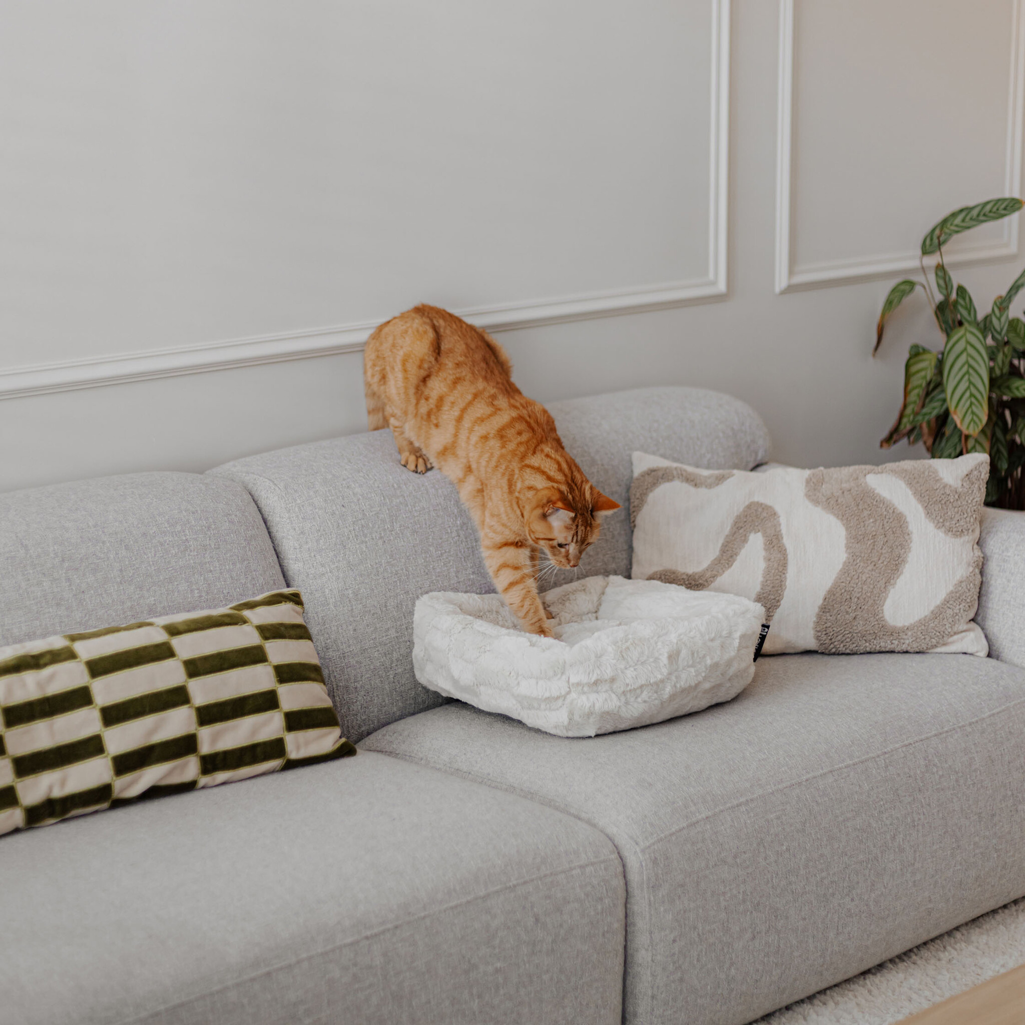 MOSA - Zachte kattenmand met uniek patroon - Verkrijgbaar in Taupe, Pink en Merengue-3